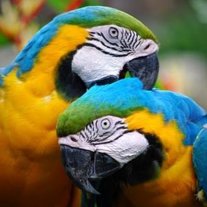 Meet your Posher, Hailey